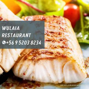 Dónde pedir comida en Puerto Williams, isla Navarino 1 Wulaia Restaurant