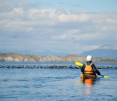 Hombre haciendo kayak